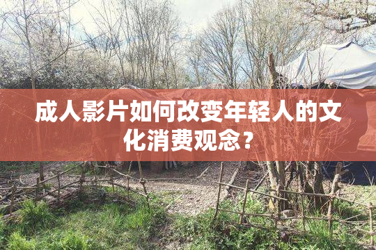 成人影片如何改变年轻人的文化消费观念？