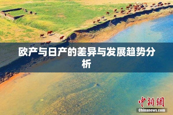 欧产与日产的差异与发展趋势分析