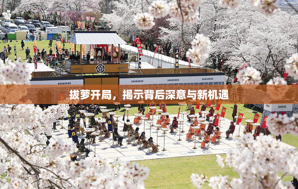 拔萝开局，揭示背后深意与新机遇