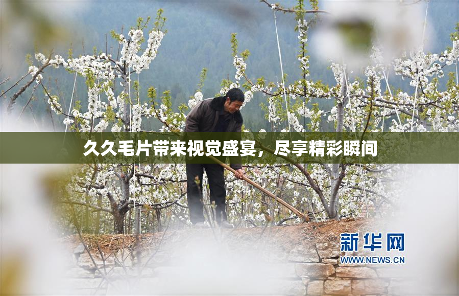 久久毛片带来视觉盛宴，尽享精彩瞬间