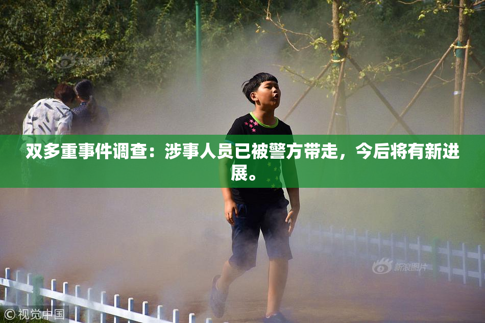 双多重事件调查：涉事人员已被警方带走，今后将有新进展。