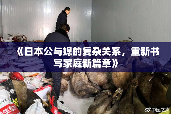 《日本公与媳的复杂关系，重新书写家庭新篇章》