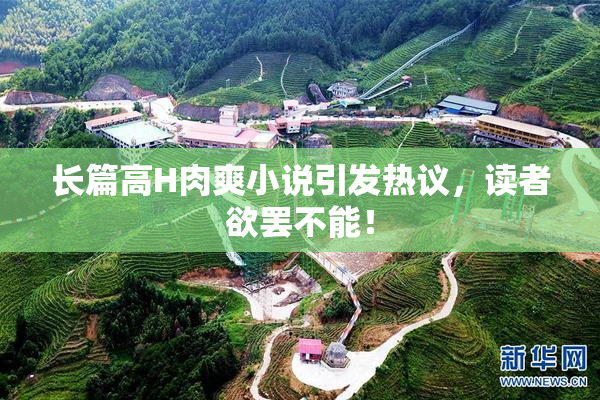 长篇高H肉爽小说引发热议，读者欲罢不能！