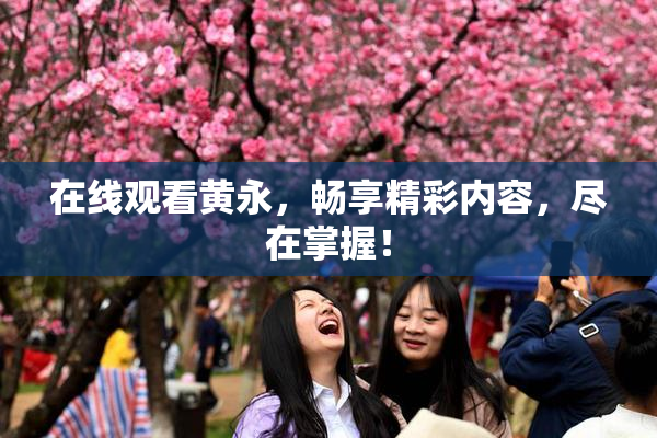 在线观看黄永，畅享精彩内容，尽在掌握！