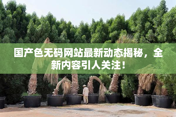 国产色无码网站最新动态揭秘，全新内容引人关注！