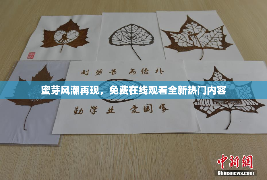 蜜芽风潮再现，免费在线观看全新热门内容