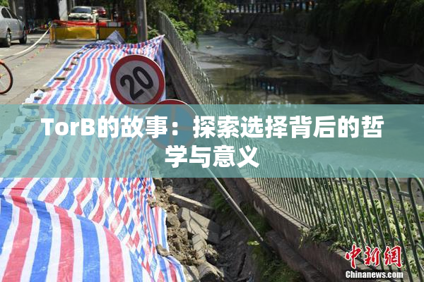 TorB的故事：探索选择背后的哲学与意义