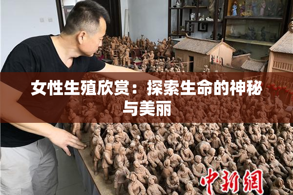 女性生殖欣赏：探索生命的神秘与美丽