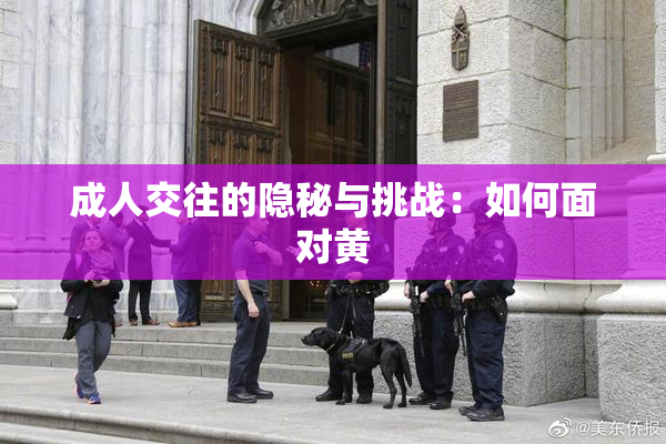 成人交往的隐秘与挑战：如何面对黄