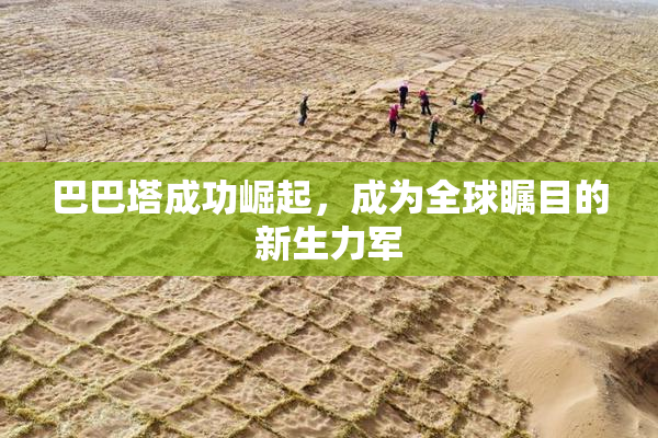 巴巴塔成功崛起，成为全球瞩目的新生力军