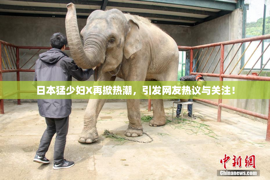 日本猛少妇X再掀热潮，引发网友热议与关注！