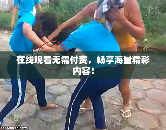 在线观看无需付费，畅享海量精彩内容！