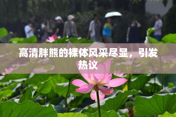 高清胖熊的裸体风采尽显，引发热议