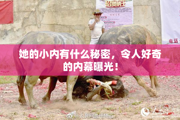 她的小内有什么秘密，令人好奇的内幕曝光！