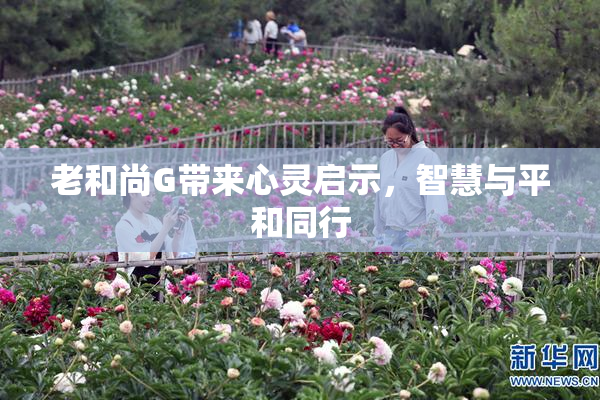 老和尚G带来心灵启示，智慧与平和同行