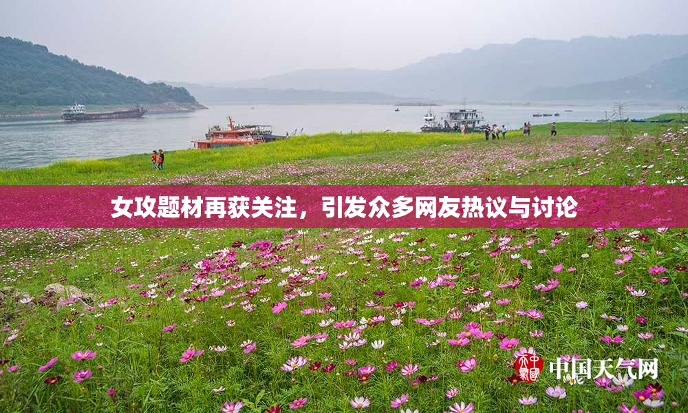 女攻题材再获关注，引发众多网友热议与讨论