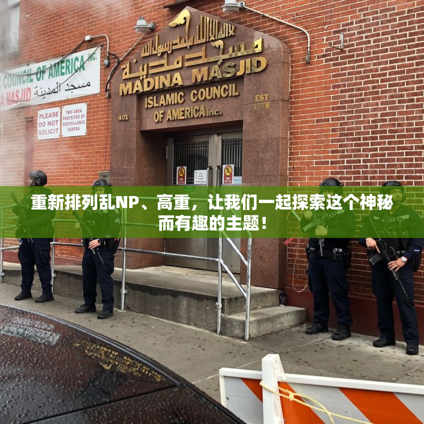 重新排列乱NP、高重，让我们一起探索这个神秘而有趣的主题！