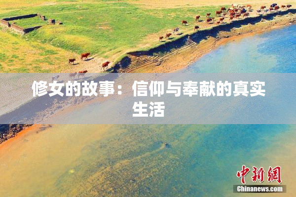 修女的故事：信仰与奉献的真实生活
