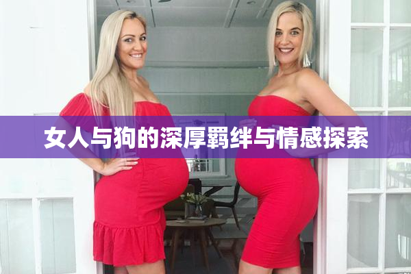 女人与狗的深厚羁绊与情感探索
