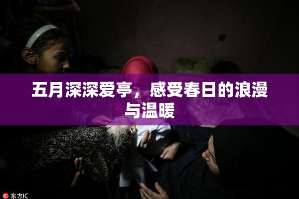 五月深深爱亭，感受春日的浪漫与温暖