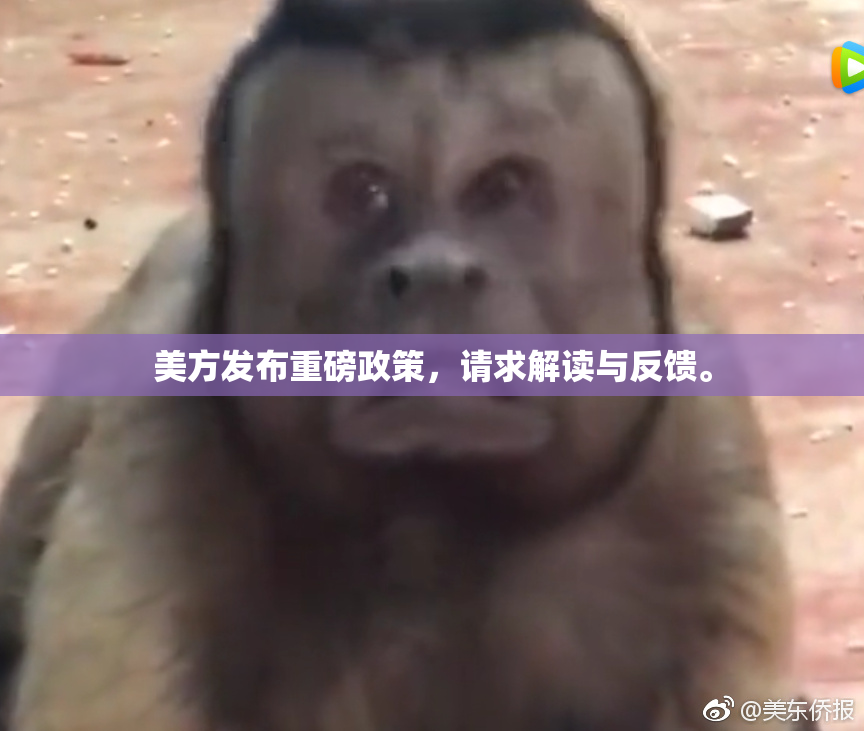 美方发布重磅政策，请求解读与反馈。