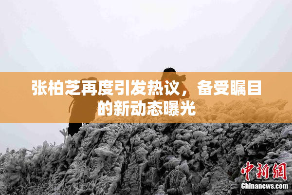 张柏芝再度引发热议，备受瞩目的新动态曝光