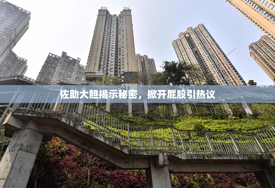 佐助大胆揭示秘密，掀开屁股引热议