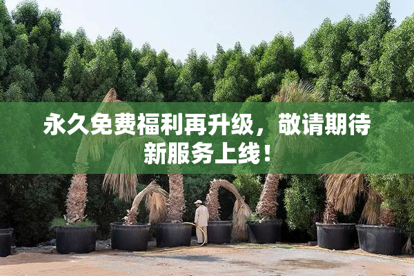 永久免费福利再升级，敬请期待新服务上线！