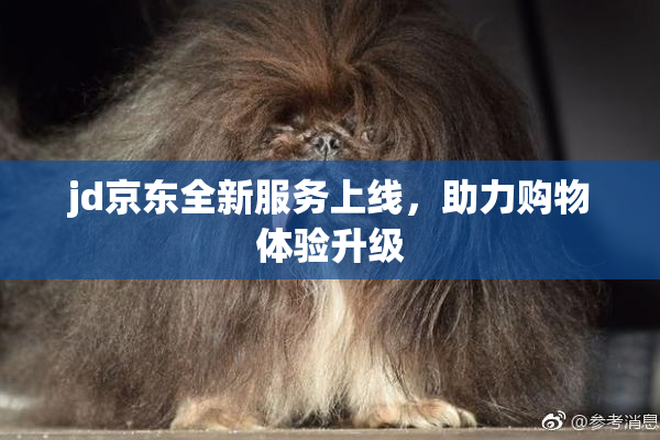 jd京东全新服务上线，助力购物体验升级
