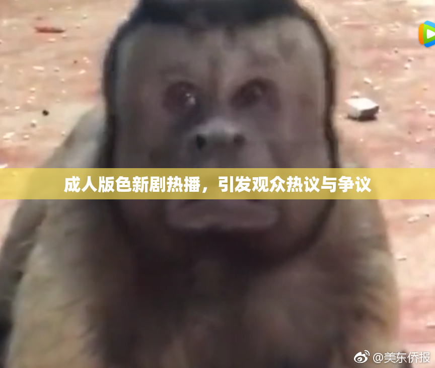成人版色新剧热播，引发观众热议与争议
