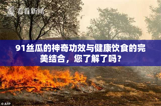 91丝瓜的神奇功效与健康饮食的完美结合，您了解了吗？
