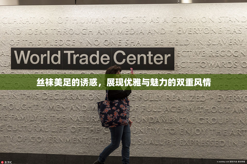 丝袜美足的诱惑，展现优雅与魅力的双重风情