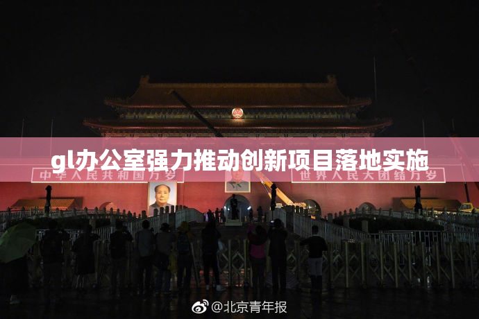 gl办公室强力推动创新项目落地实施