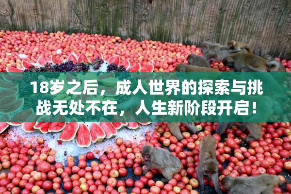 18岁之后，成人世界的探索与挑战无处不在，人生新阶段开启！
