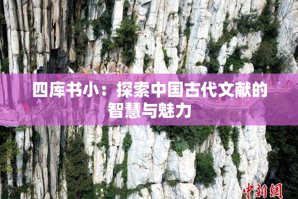 四库书小：探索中国古代文献的智慧与魅力