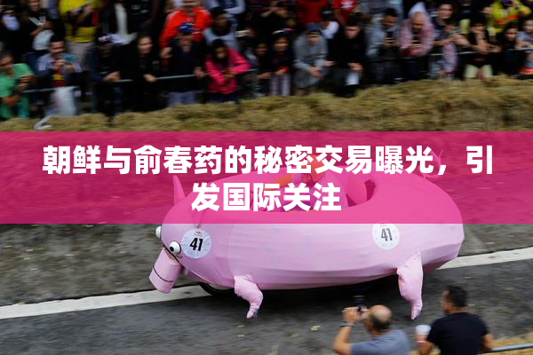 朝鲜与俞春药的秘密交易曝光，引发国际关注