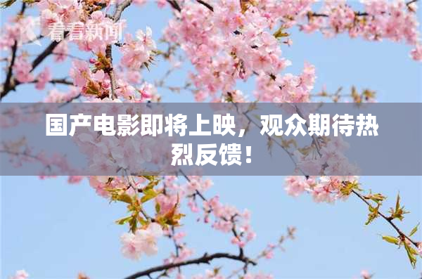 国产电影即将上映，观众期待热烈反馈！