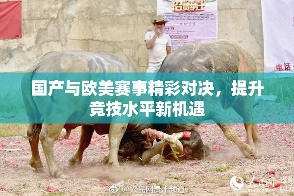 国产与欧美赛事精彩对决，提升竞技水平新机遇
