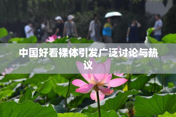 中国好看裸体引发广泛讨论与热议