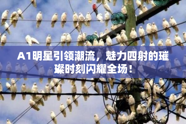 A1明星引领潮流，魅力四射的璀璨时刻闪耀全场！