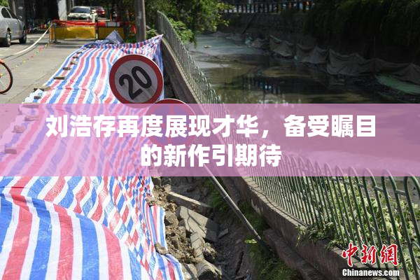刘浩存再度展现才华，备受瞩目的新作引期待