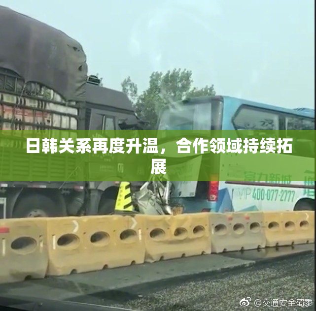 日韩关系再度升温，合作领域持续拓展