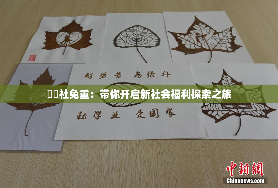 擼擼社免重：带你开启新社会福利探索之旅