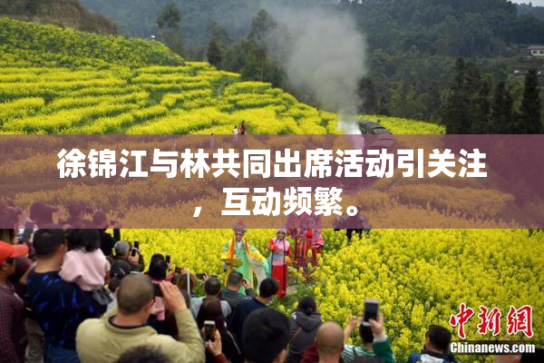徐锦江与林共同出席活动引关注，互动频繁。