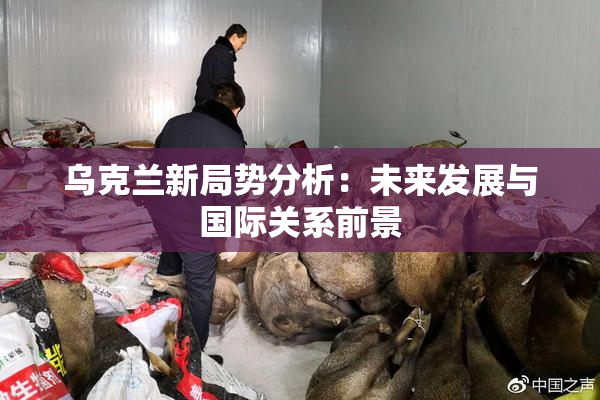 乌克兰新局势分析：未来发展与国际关系前景