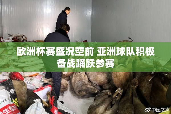 欧洲杯赛盛况空前 亚洲球队积极备战踊跃参赛