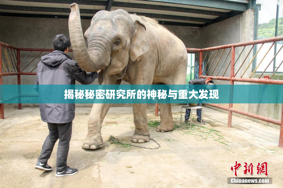 揭秘秘密研究所的神秘与重大发现
