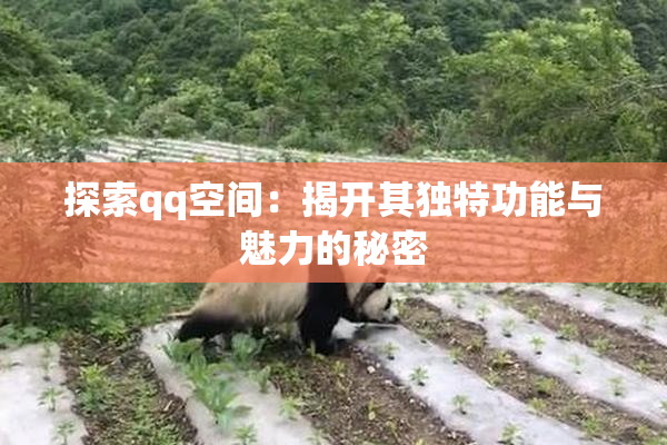 探索qq空间：揭开其独特功能与魅力的秘密