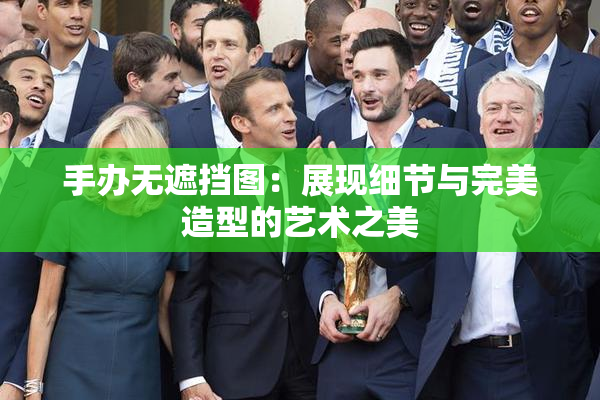 手办无遮挡图：展现细节与完美造型的艺术之美