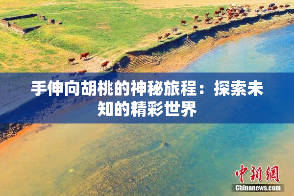 手伸向胡桃的神秘旅程：探索未知的精彩世界